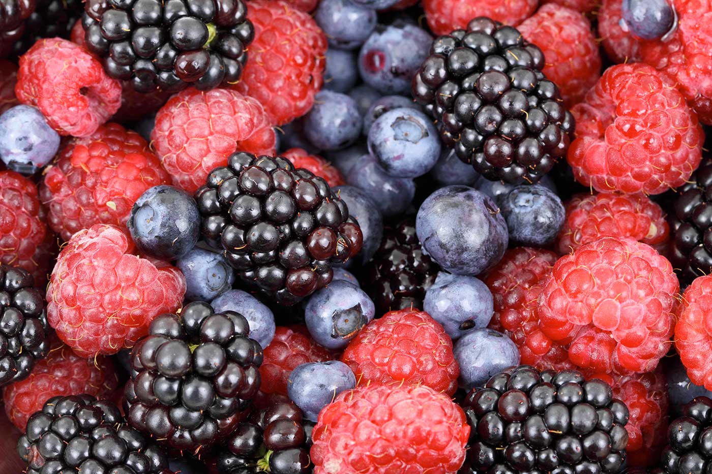 ANTIOXIDANTES