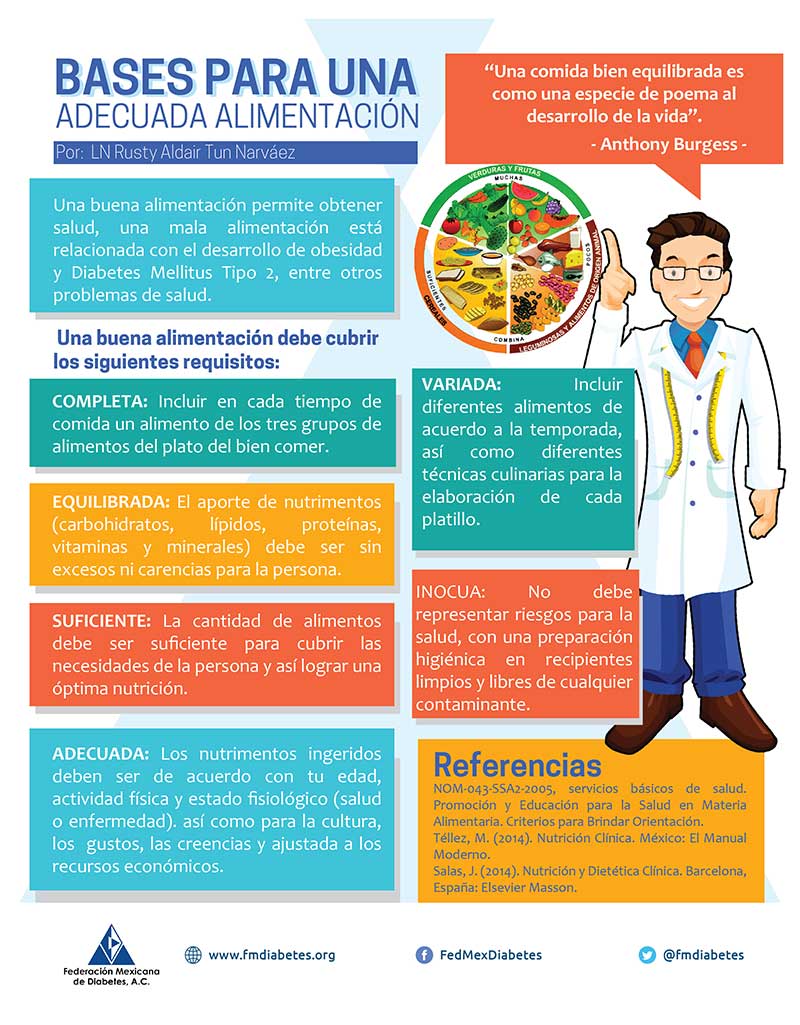Bases para una adecuada alimentación