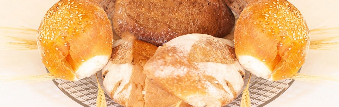 El controversial gluten El controversial gluten