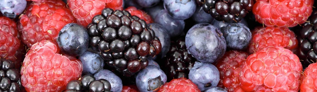 ANTIOXIDANTES