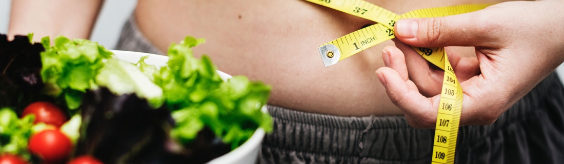 El origen de la obesidad