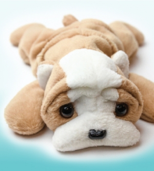 Las mascotas no son  juguetes