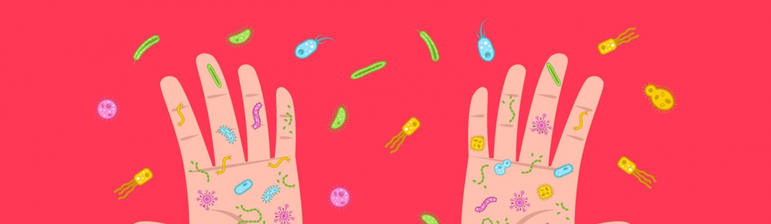 La macro y microbiota