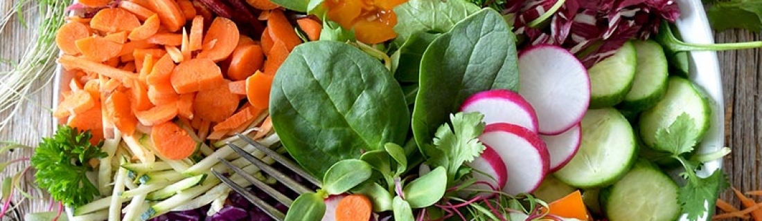 Dieta Vegana… ¿Moda o beneficio para la salud?
