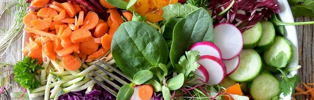 Dieta Vegana… ¿Moda o beneficio para la salud? Dieta Vegana… ¿Moda o beneficio para la salud?