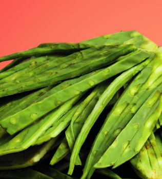 El nopal, ¿el ideal para mi dieta diaria?