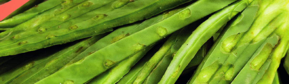 El nopal, ¿el ideal para mi dieta diaria?
