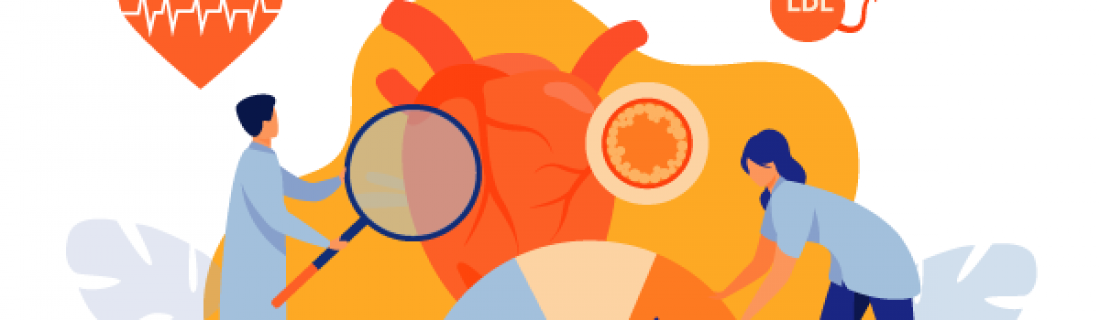 ¿Qué es el colesterol y cómo afecta a mi cuerpo?